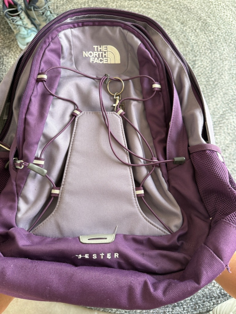 North Face Jester Backpack purple tones